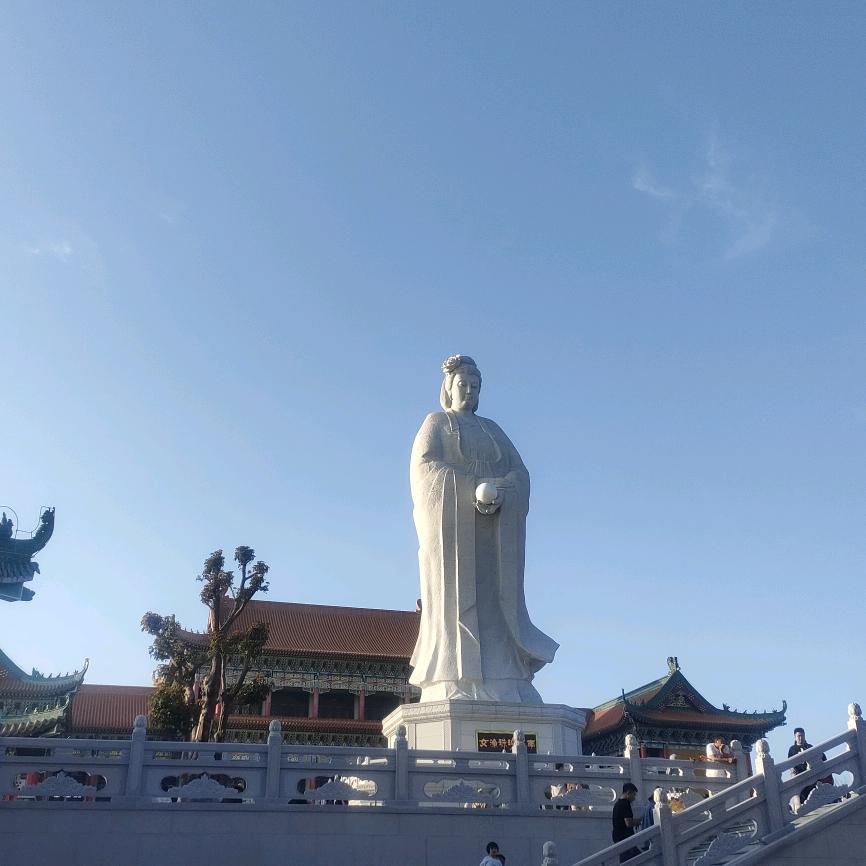 林