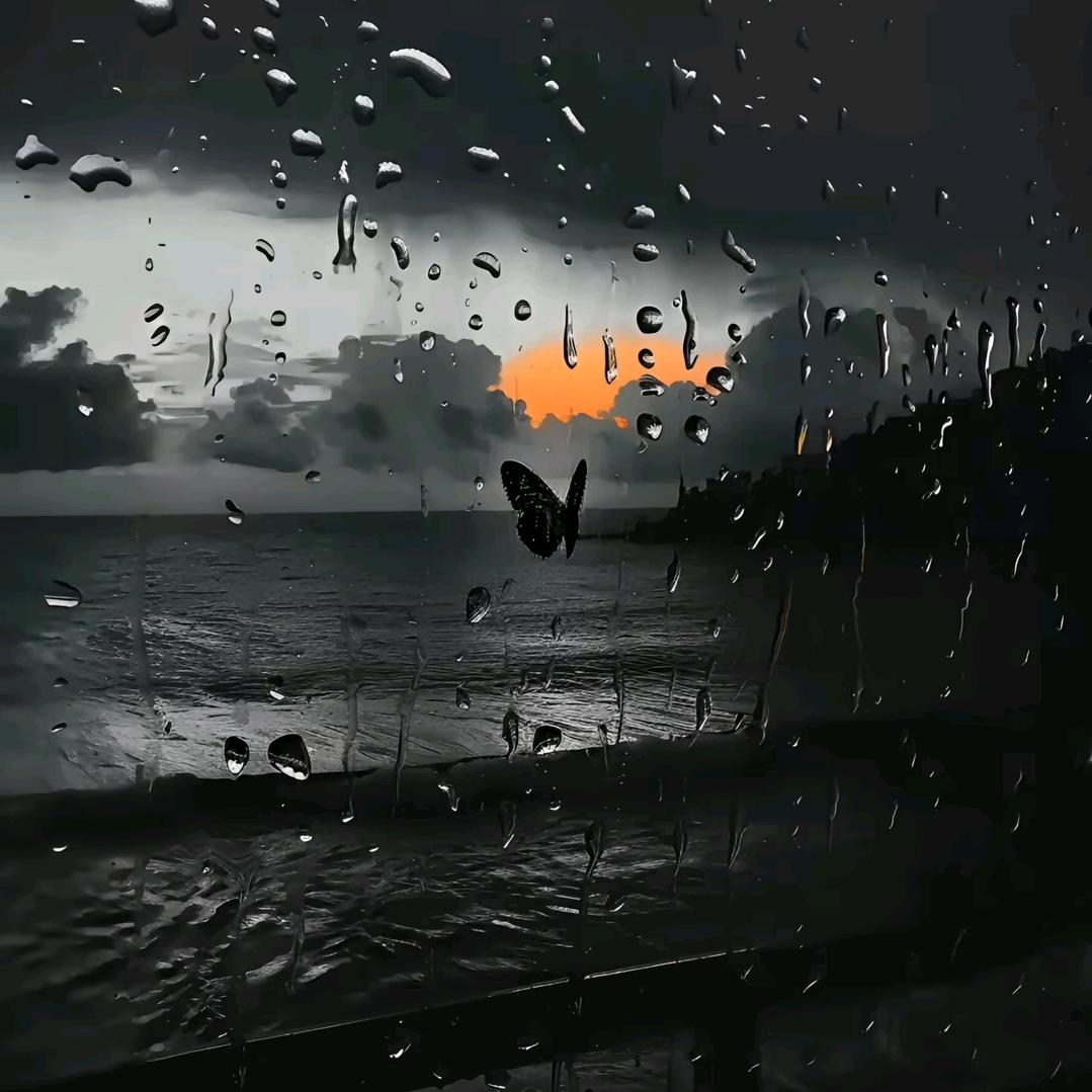 ℳ̶̶̶̶♡̶҉忘.ᥫᩣ