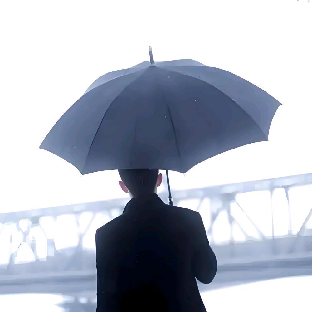 撑伞也是雨中人