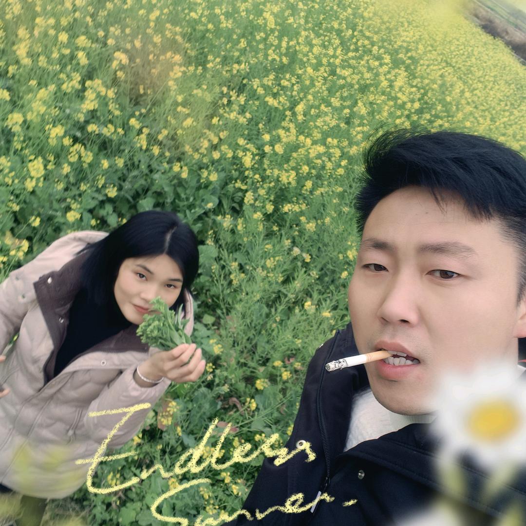 羽霸炼兽