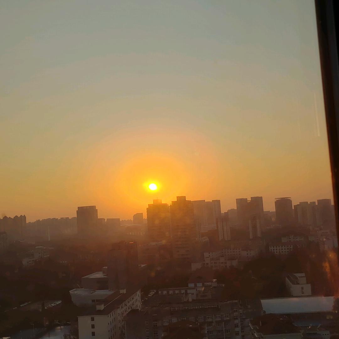 情懂