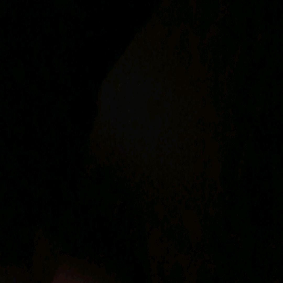 芒果