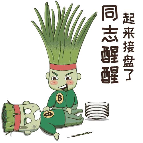 实践出真章