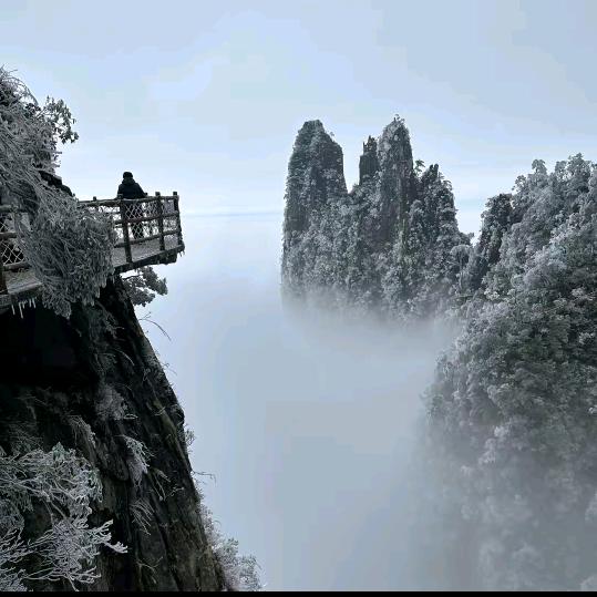 阳光哥🦋🦋🦋