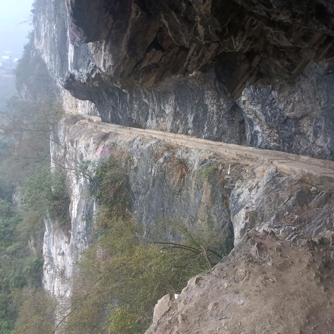 🌹感谢有你🌹