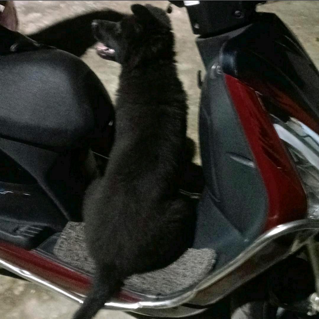 迬