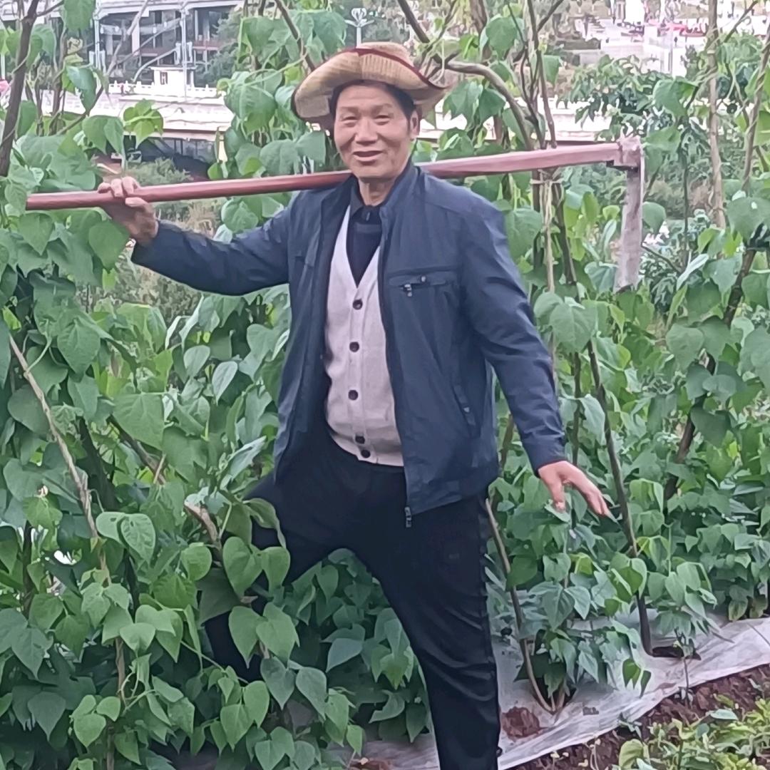 樱花老爷爷