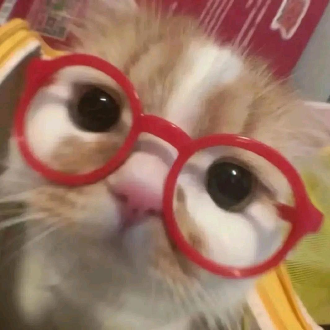 WikeLly^•͈༝•^ฅ