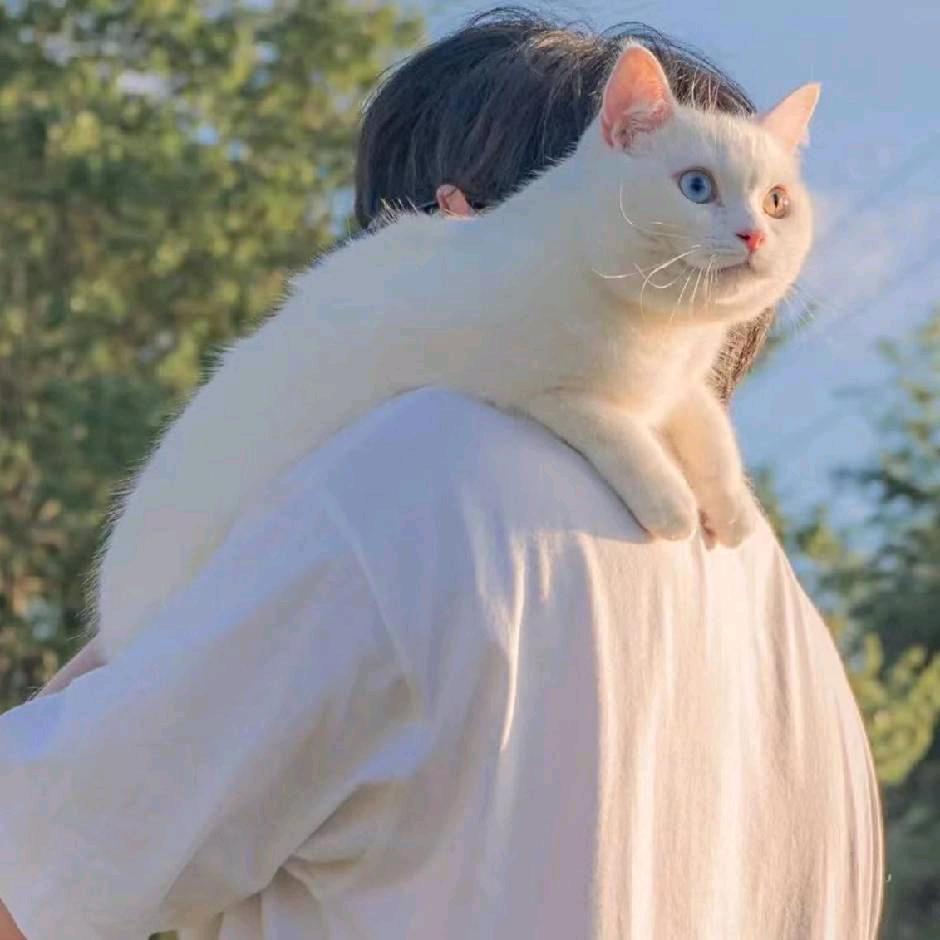 倔强帅气的徐小鱼