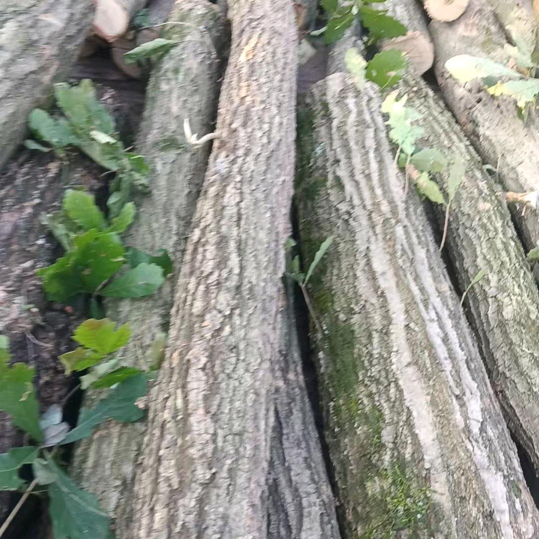 长期销售轻钢杂木锯木面瓜子石