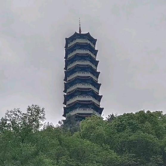 东北雪狼黑M2025
