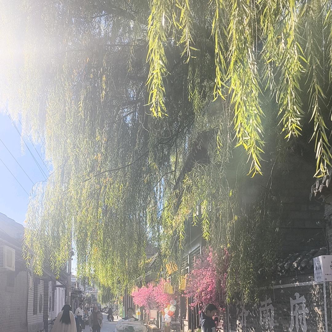 沼润智慧
