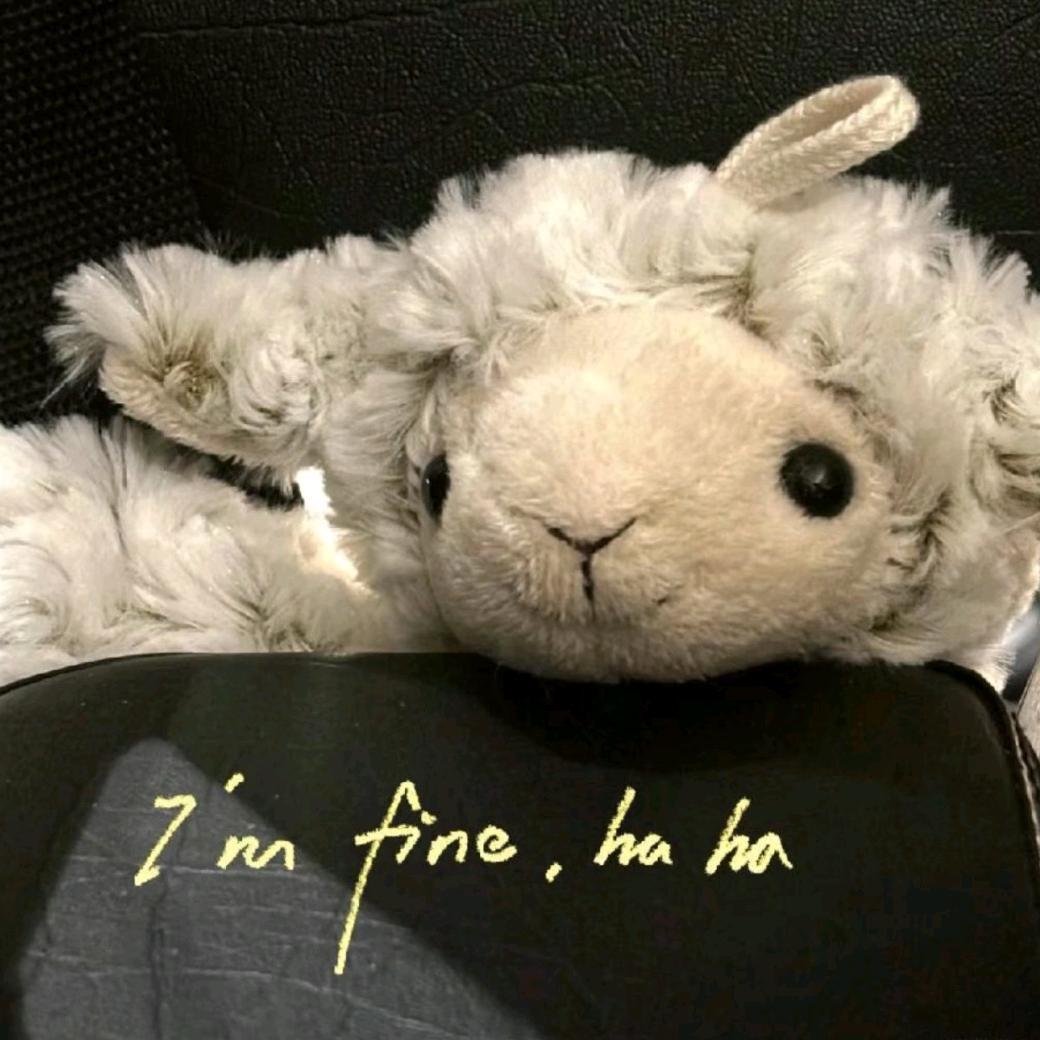 🍧雾眠汽泡水🫧