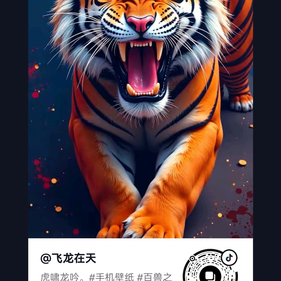 天涯（只有一个号）