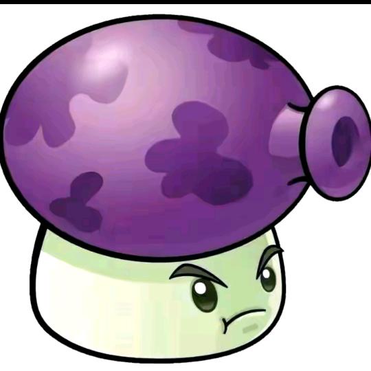 🟣🟣🟣🟣🟣ㅤ  ㅤ  ㅤ  ㅤ