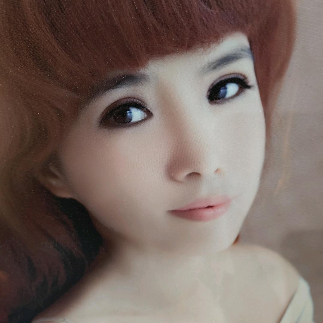 九月菊花