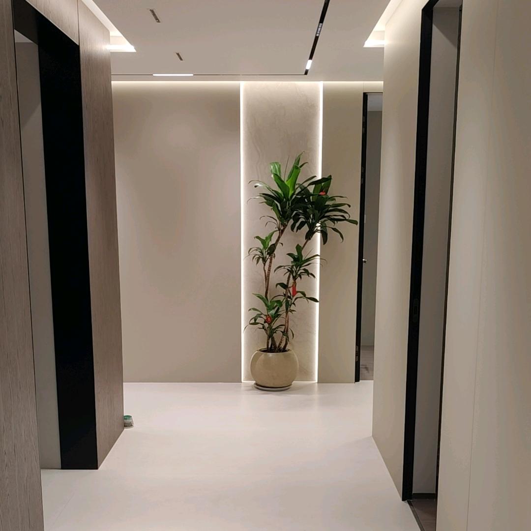张森林