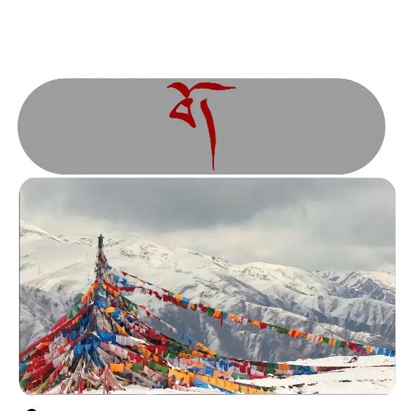 😎今生为藏😎