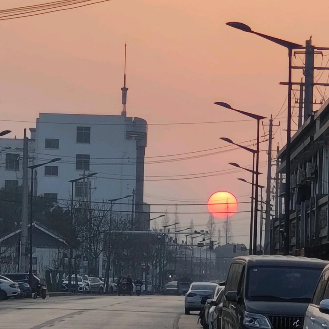 A.洋芋番番