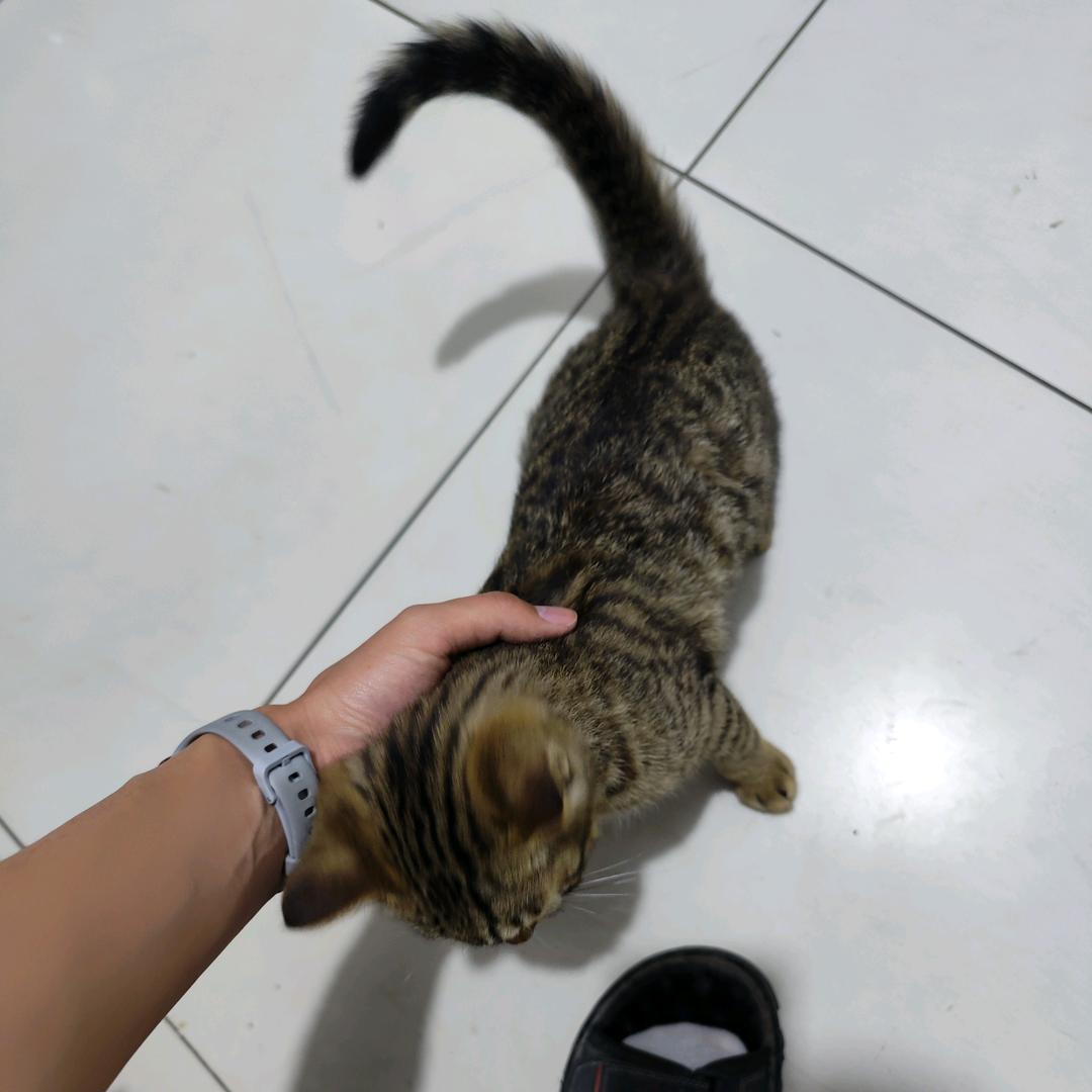 年少胃不好