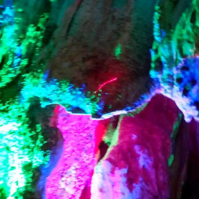 柠檬有点酸😃☀️ ⁷²⁹5233