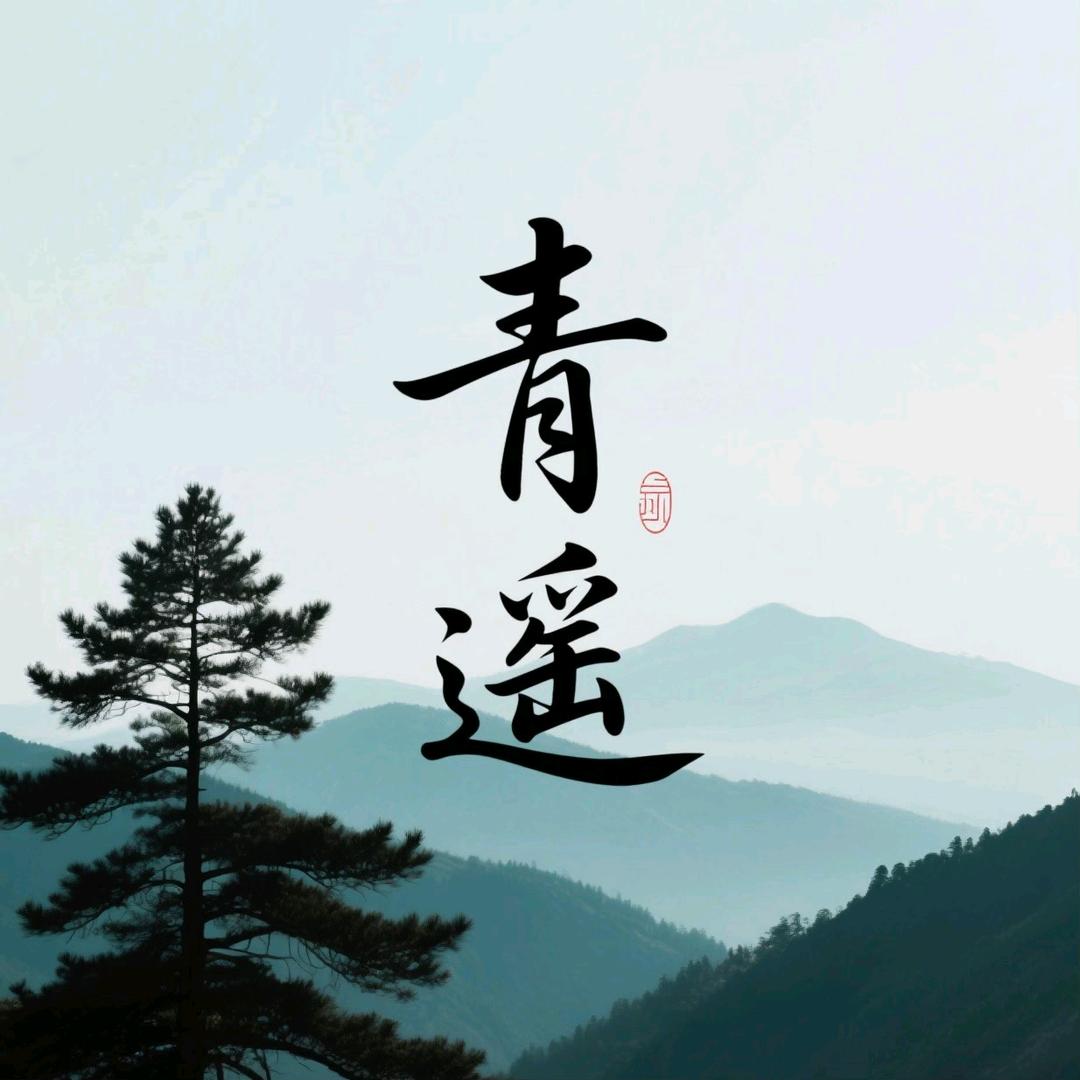 遥师康养