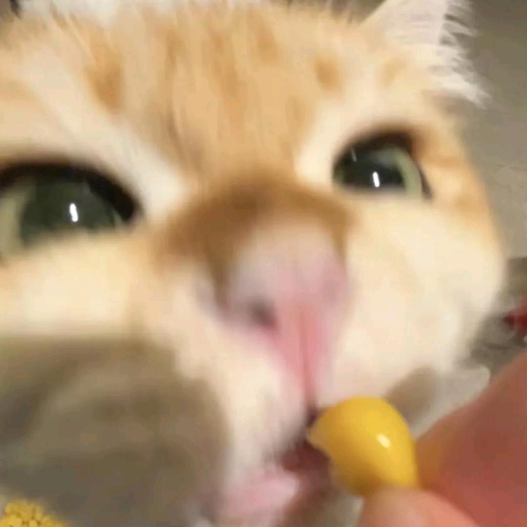 李诗雅