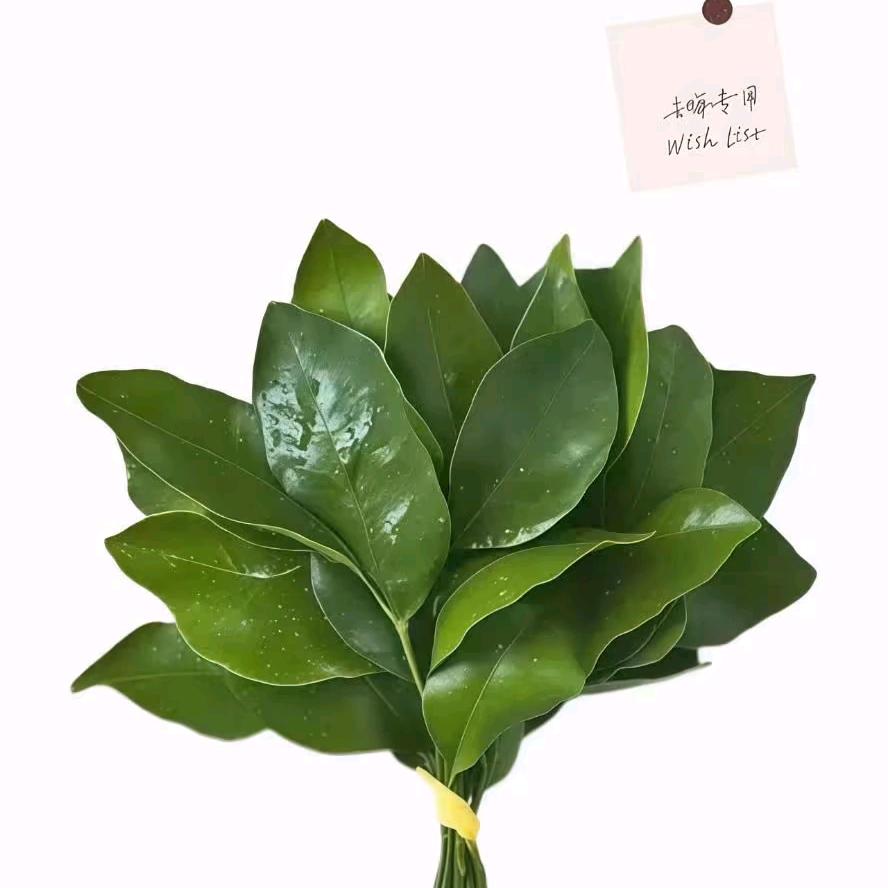 𝓯𝓻𝓮𝓬𝓴（难遇）