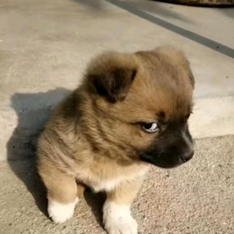 木韵家居全屋定制