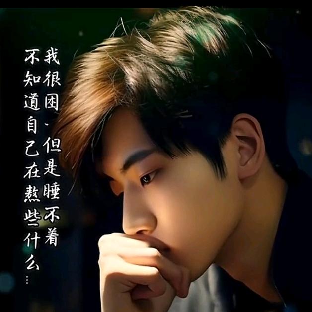 东北李少帅绝对帅