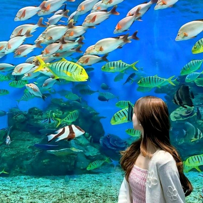 西安海洋馆/团购/福利