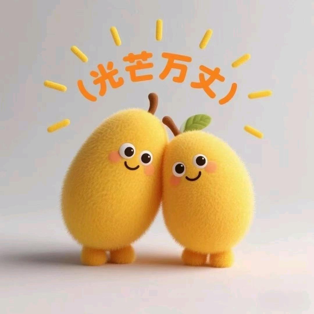北京晓婕