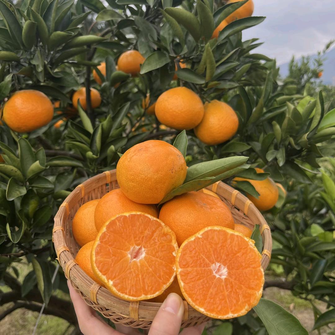 今天风继续吹