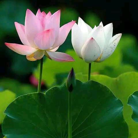 1969年快乐每一天糖糖的奶奶