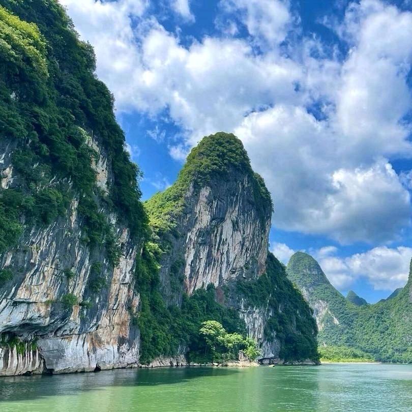 与龙共舞