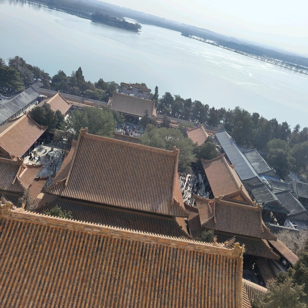 接地端子