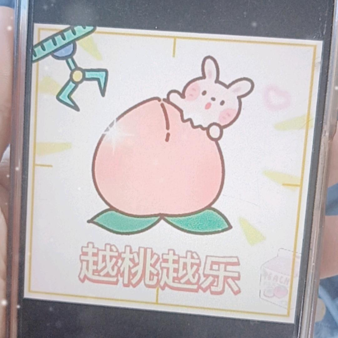 桃子小助手