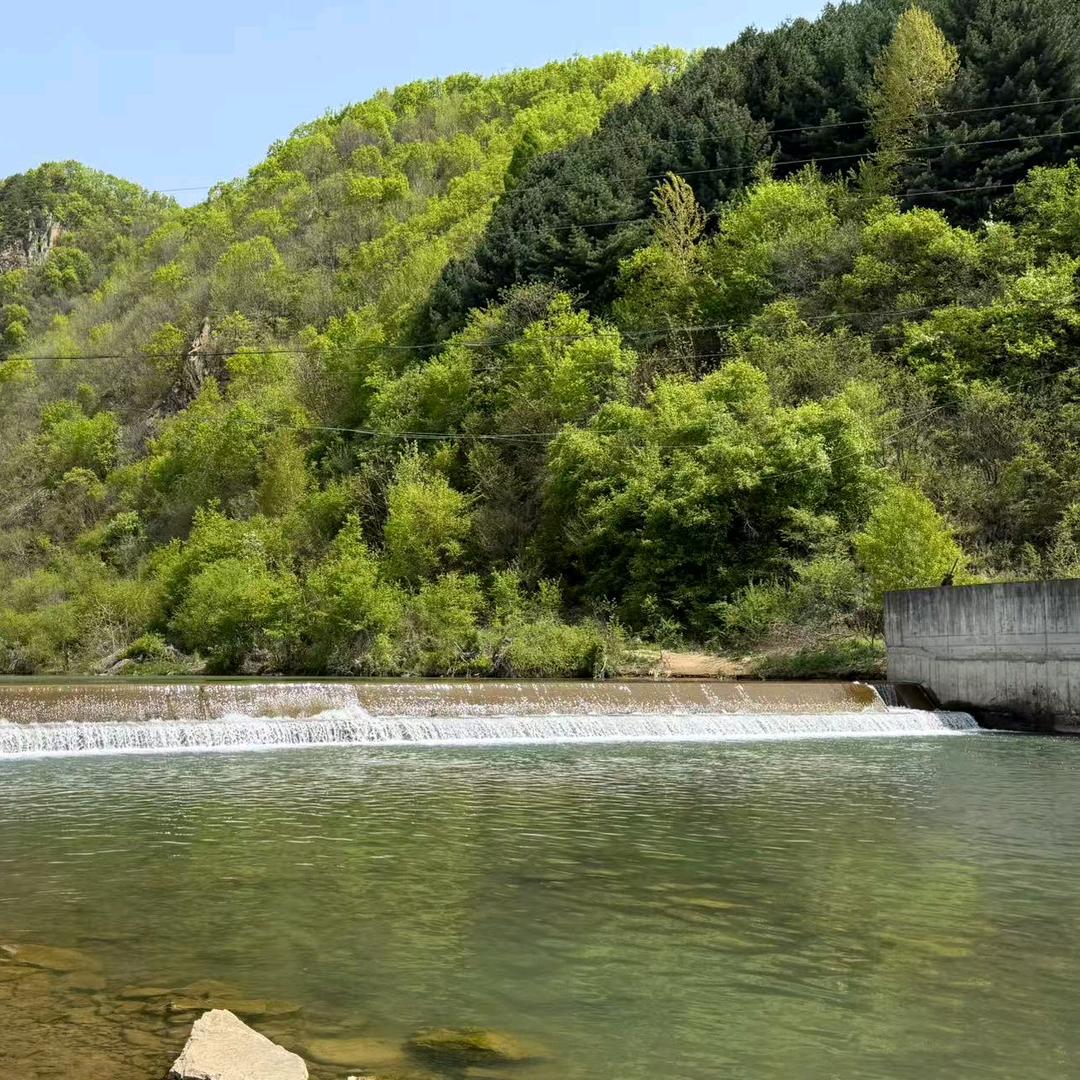 大东北玉玲珑297