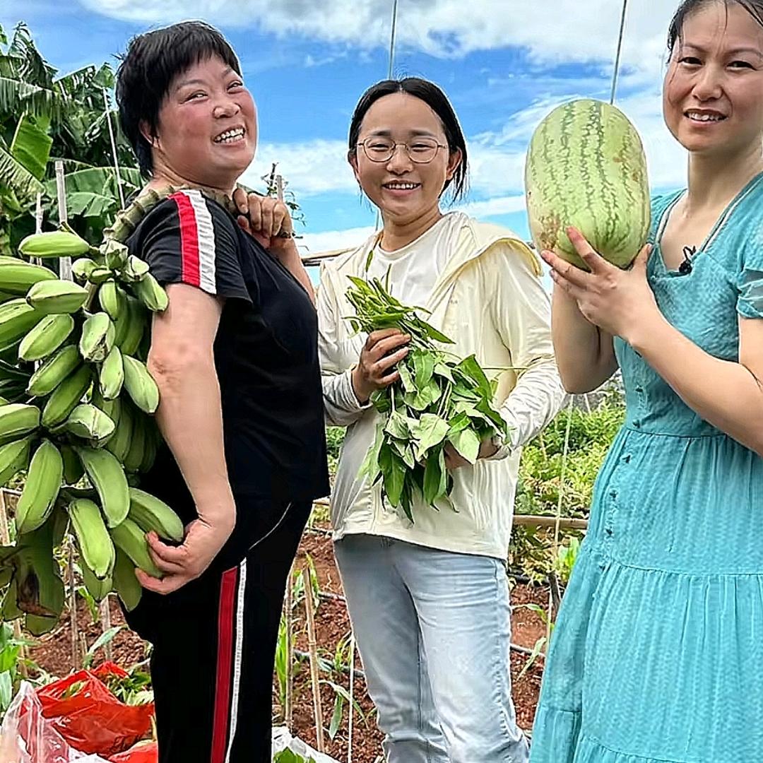 爱生活，爱小凤