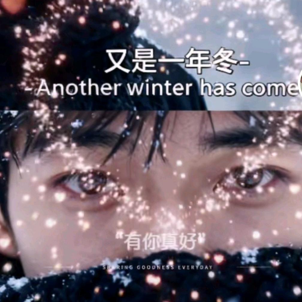 别，狗都玩不起