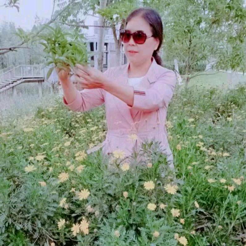 美好人生的兔