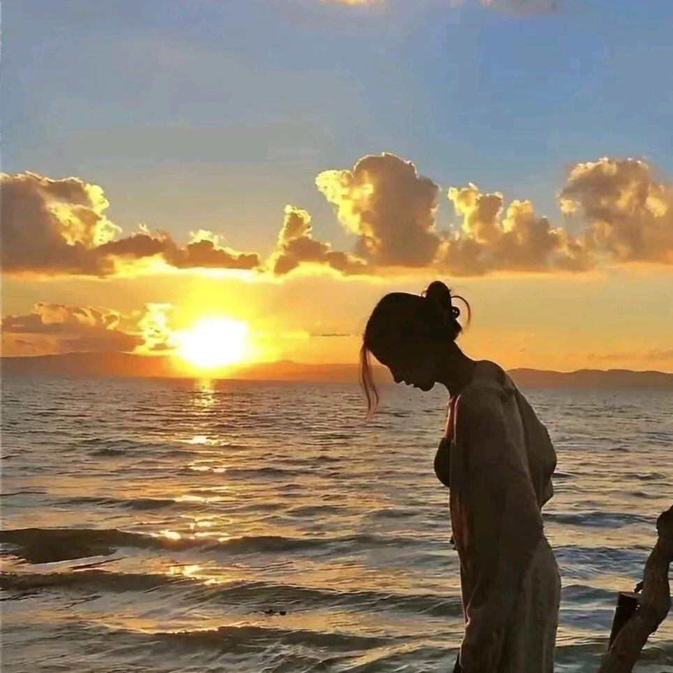 ʚ  爱吃草莓的霸王龙  ⁵ɞ