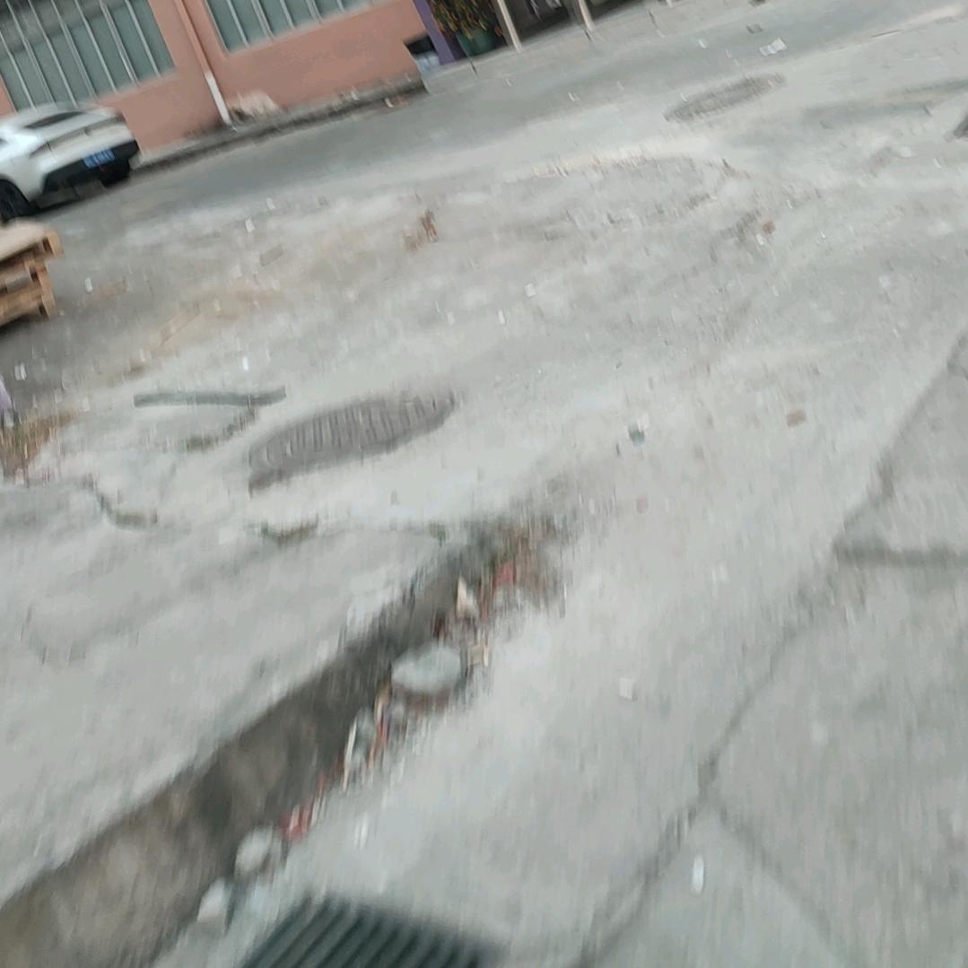 顽强的生命力