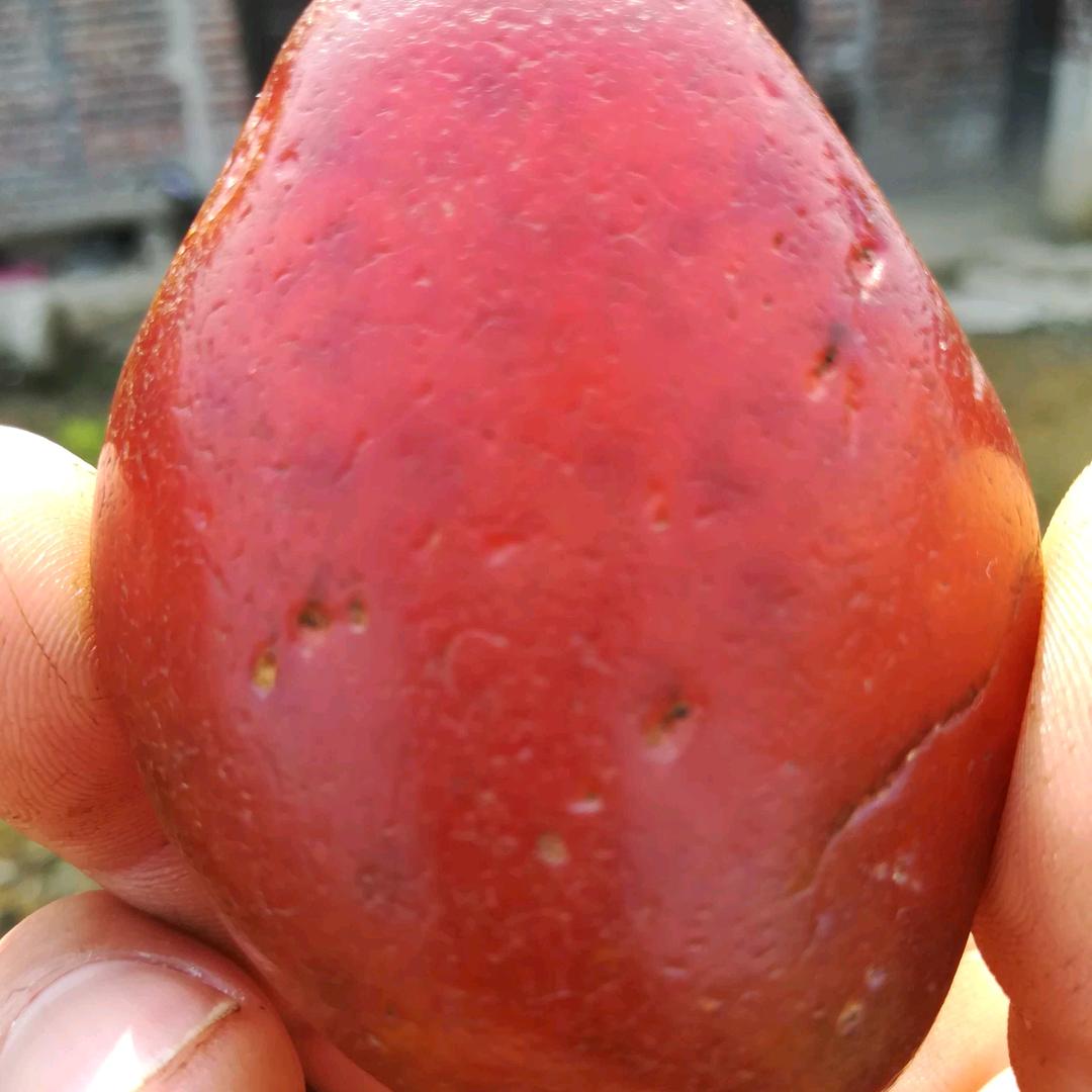 星行者