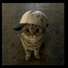 ૮◍⁰ᯅ⁰◍ა