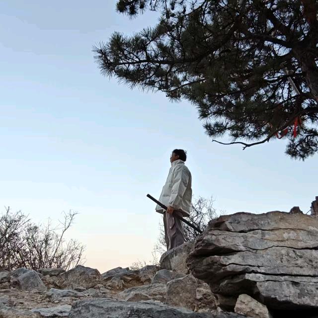 想吃鱼的呆头鹅