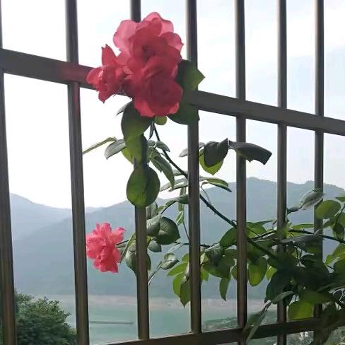 慢💫…⭐️…✨