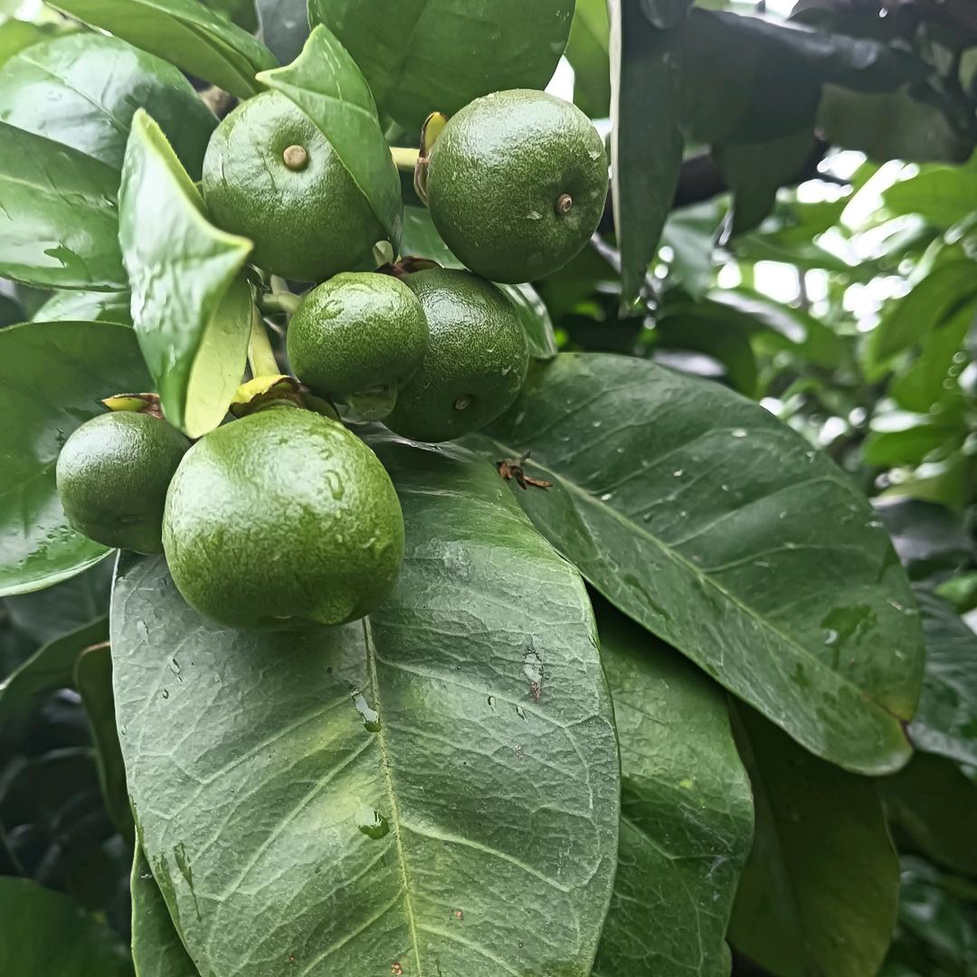 随缘…