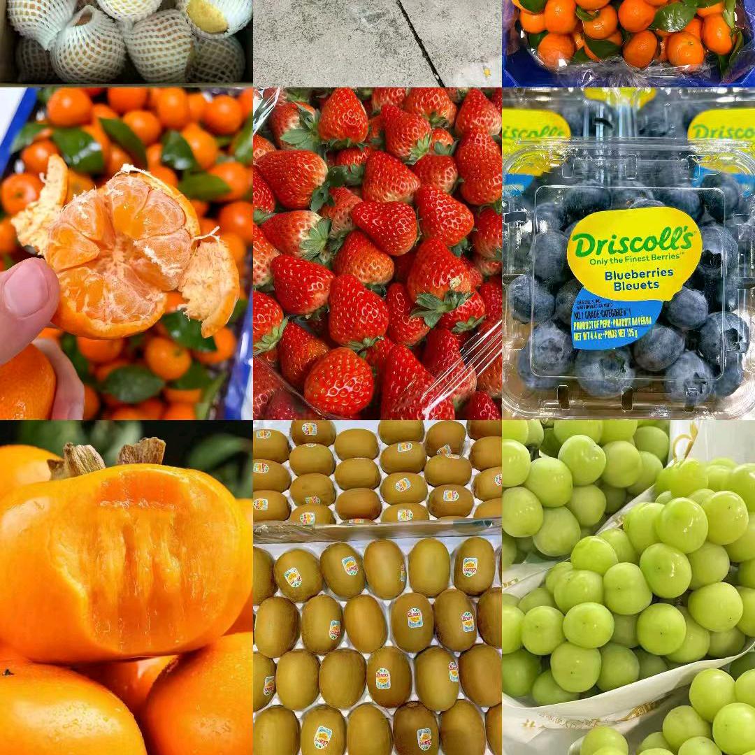 宁愿睡地板也要做老板