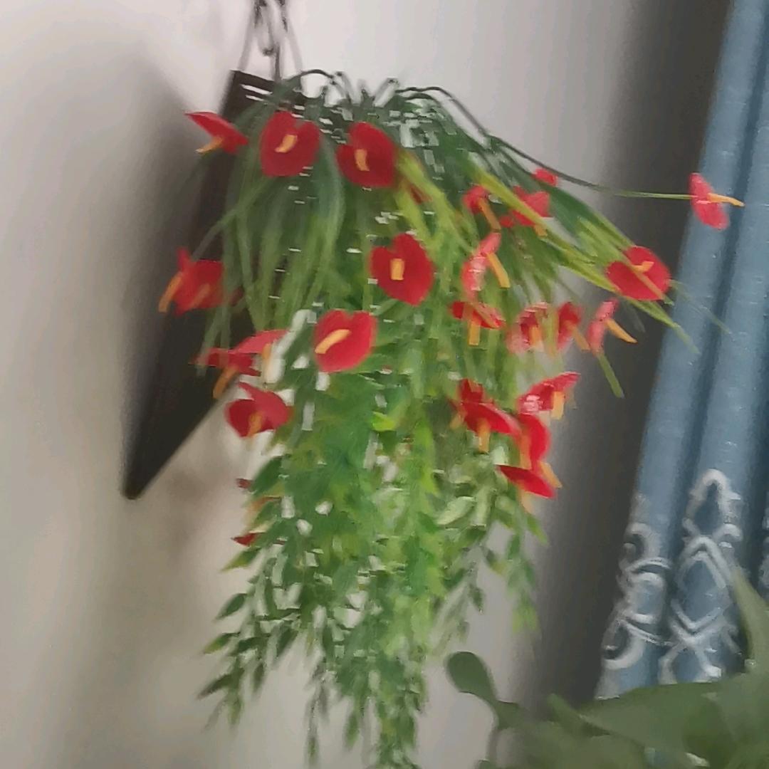 静